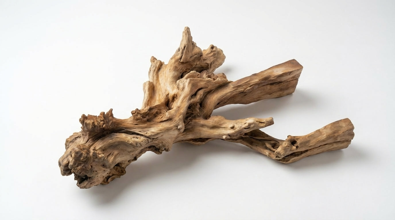 Branchflow Sculptural Wall Shelf — Nature Suspended in Stillness