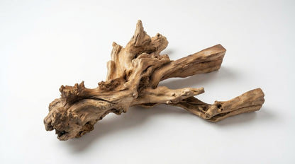 Branchflow Sculptural Wall Shelf — Nature Suspended in Stillness