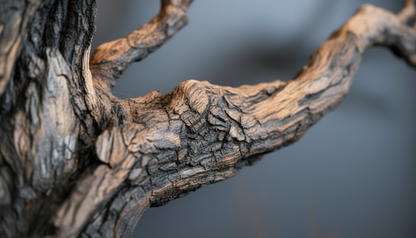 Ancestral Arch Wall Sculpture – Nature’s Silent Sanctuary