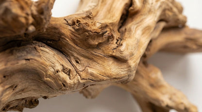 Branchflow Sculptural Wall Shelf — Nature Suspended in Stillness