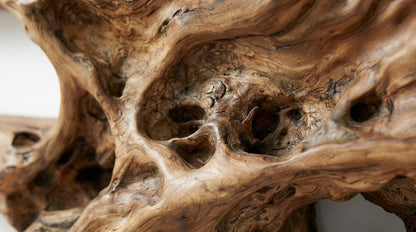 Rootveil Sculptural Wall Shelf — Nature Revealed, Not Refined