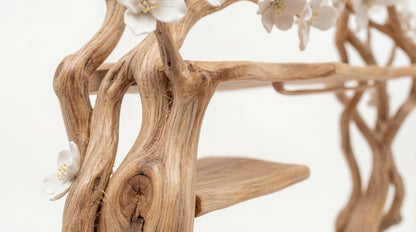 Blossom Canopy Wardrobe – Nature Sculpted into Living Storage