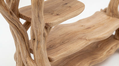 Blossom Canopy Wardrobe – Nature Sculpted into Living Storage