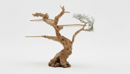 Arborline Solid Wood Wall Bookshelf — A Living Form on the Wall