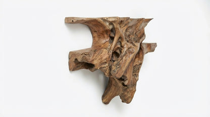 Rootveil Sculptural Wall Shelf — Nature Revealed, Not Refined
