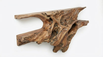 Rootveil Sculptural Wall Shelf — Nature Revealed, Not Refined