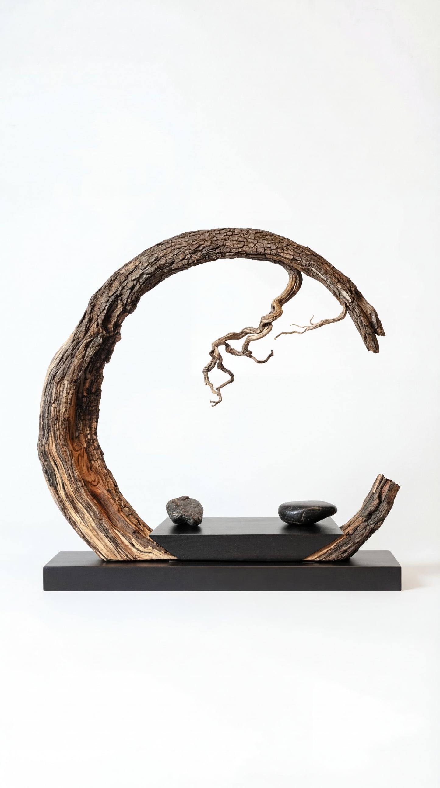 Eternal Arc Sculpture – Handcrafted Root Wood Art Piece