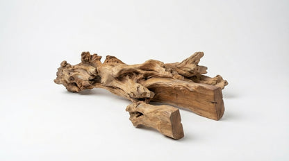 Branchflow Sculptural Wall Shelf — Nature Suspended in Stillness