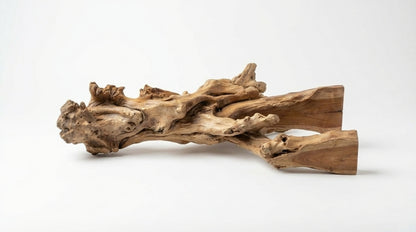 Branchflow Sculptural Wall Shelf — Nature Suspended in Stillness