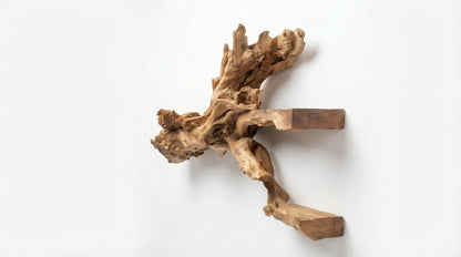 Branchflow Sculptural Wall Shelf — Nature Suspended in Stillness