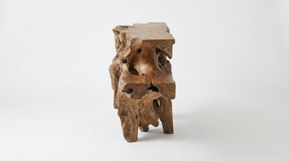 Rootveil Sculptural Wall Shelf — Nature Revealed, Not Refined